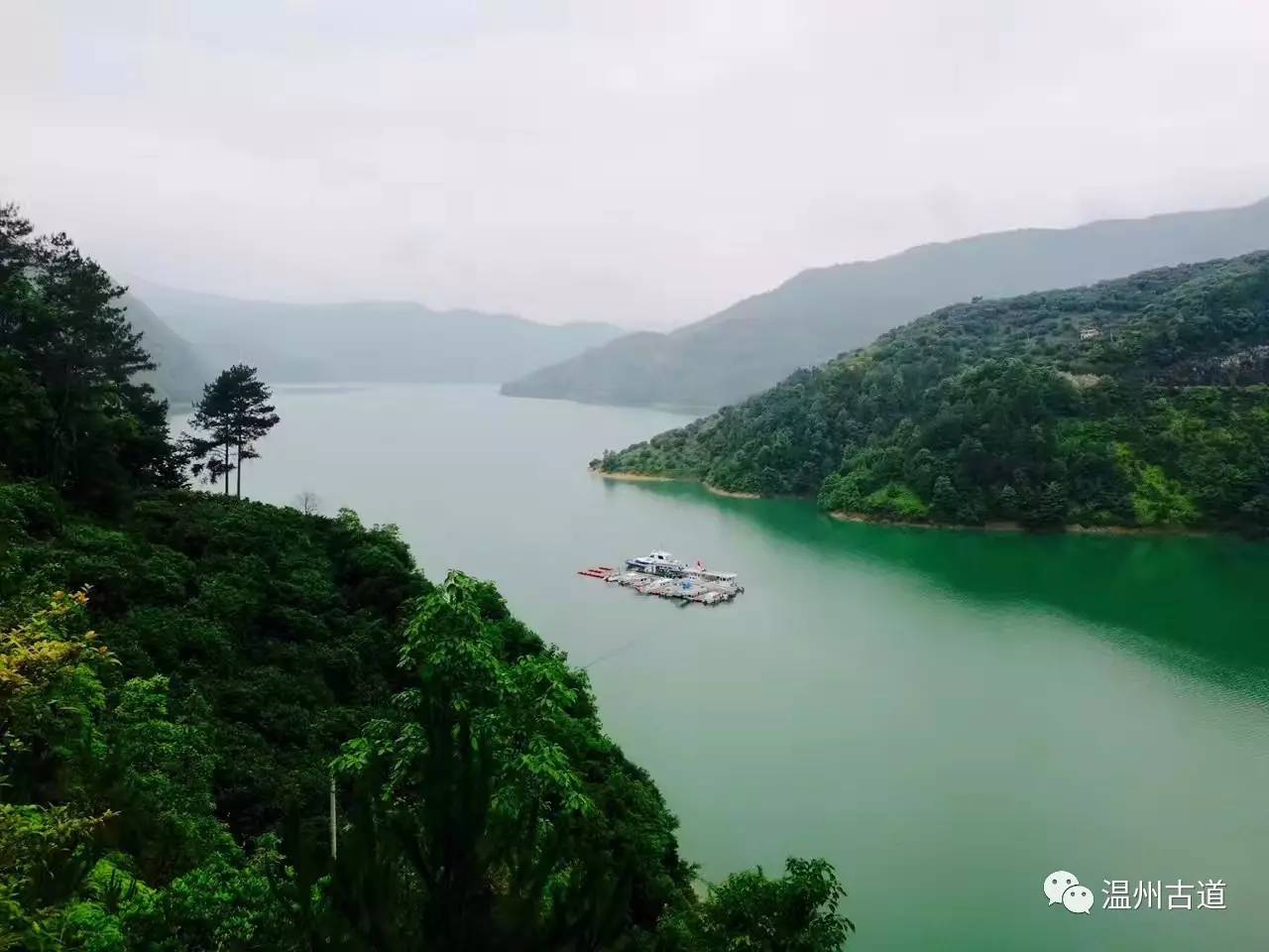 文成县珊溪水库地图,正宗文成珊溪水库有机鱼