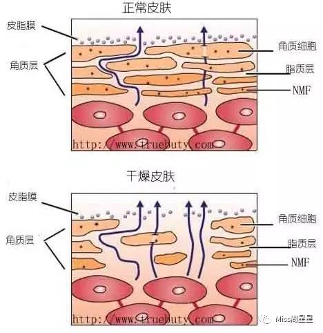 宋慧乔毛孔精华,宋慧乔护肤秘诀公开