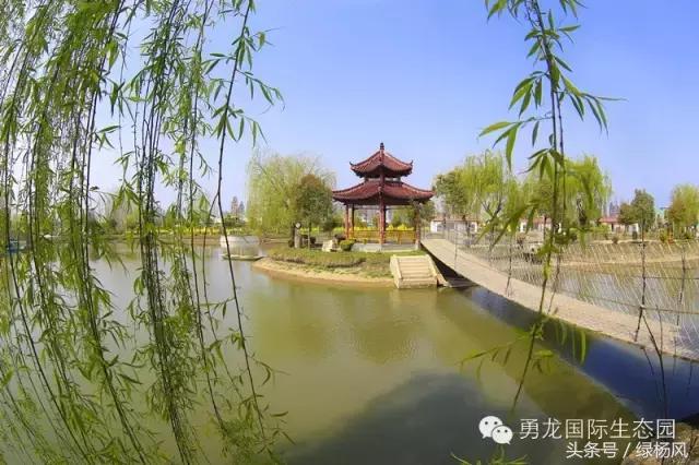 来扬州必买饰品,来扬州别错过的打卡地