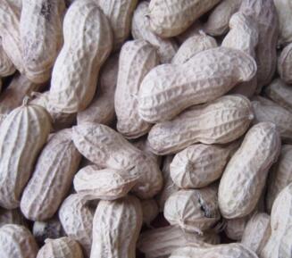 四川宜宾李庄古镇特色,宜宾李庄田园风光区