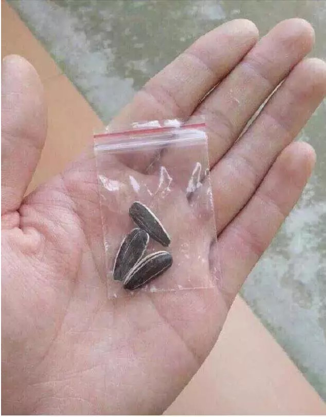 让卖家哭笑不得的买家秀完整版,看完这些买家秀我酸了