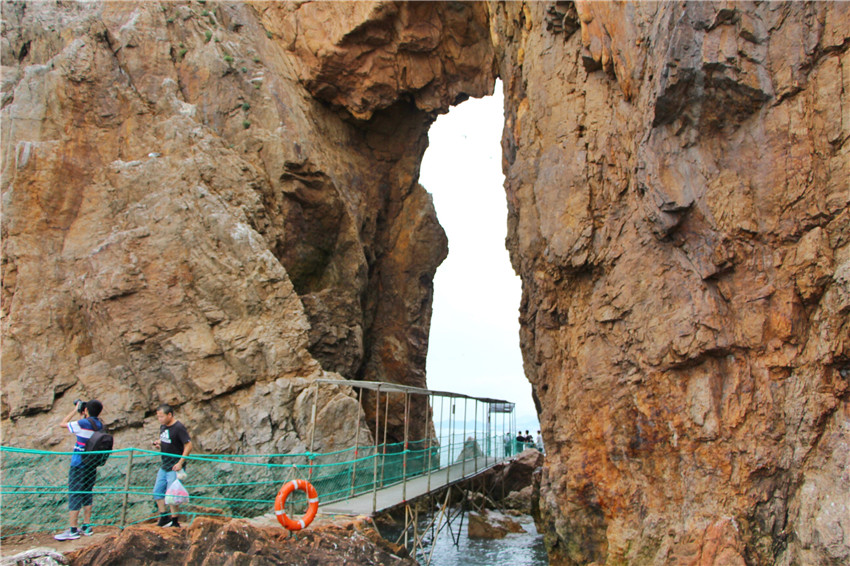 荣成海驴岛一年四季都有海鸥吗,国外海岛看海鸥