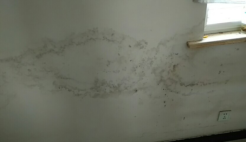 照着这些办法补救，你家房子也能50年不再返潮、发霉、起皮