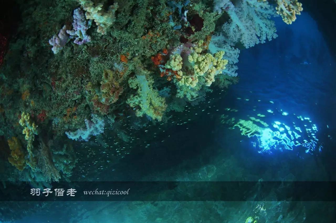 帕劳的旅游时长是多少,帕劳旅游找哪个旅行社