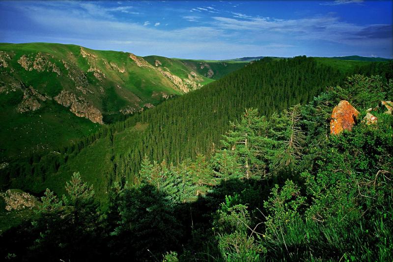 世界第一大马场有多少匹马,世界最大的军马场