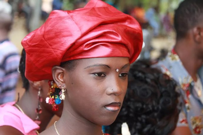 贝宁共和国概况及农业情况简介