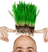 沙溢火吗,沙溢火了