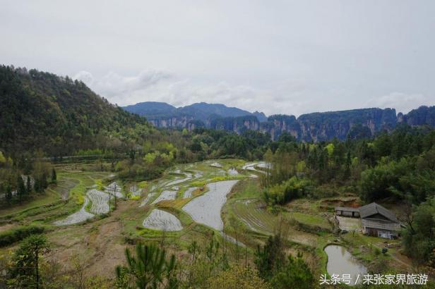 张家界三天两晚攻略,张家界4天3晚自由行