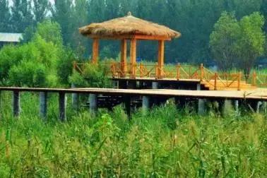 租房车去哪里比较好,租房车的地方