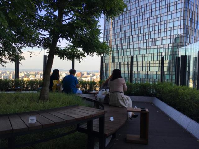 日本升龙道自驾游攻略,日本升龙道有哪些景点