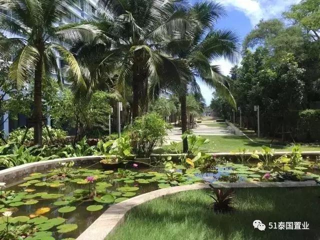 芭提雅中天海景公寓,芭提雅一线海景公寓房价