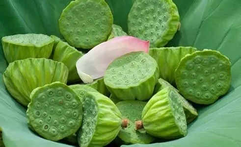 莲蓬怎么销售,卖莲蓬最好的销路