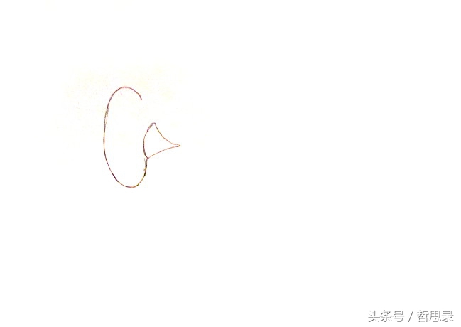 初学者画向日葵的详细教程,向日葵绘画教程简单易学