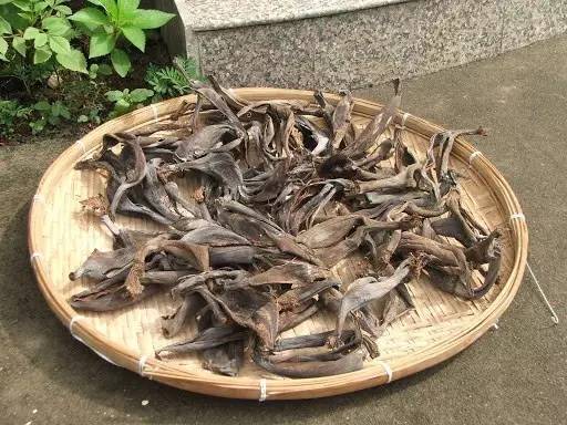 香蕉皮可以直接制作肥料,香蕉皮如何晒干做肥料