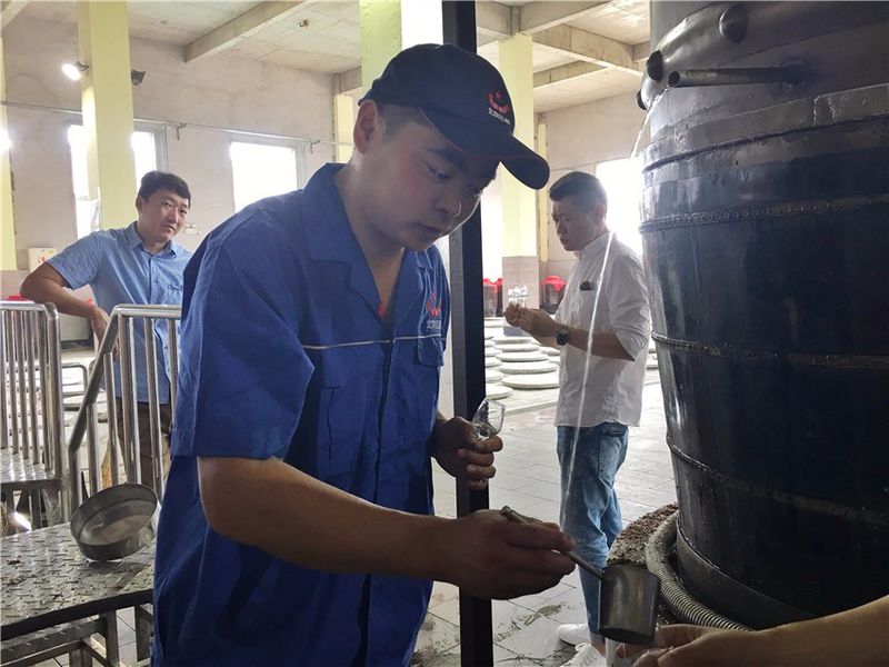 青山绿水间自由的飞翔,青山绿水放飞心情拥抱大自然