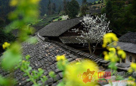 庆阳古街,湖北宣恩县庆阳坝百年古街