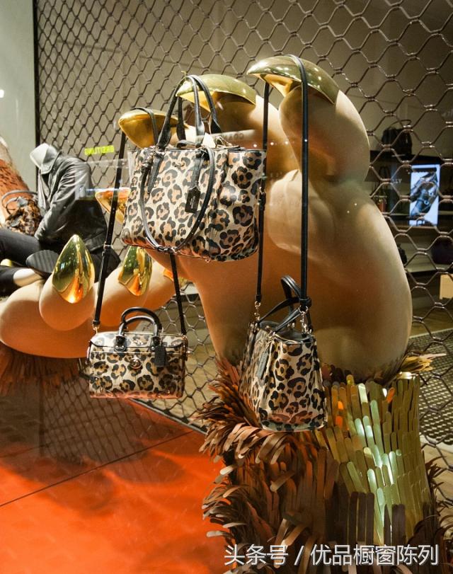 带你看遍所有车型,带你看遍大牌包包