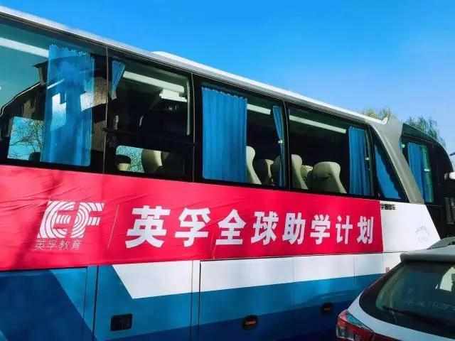 偷能量的树苗,偷能量种树