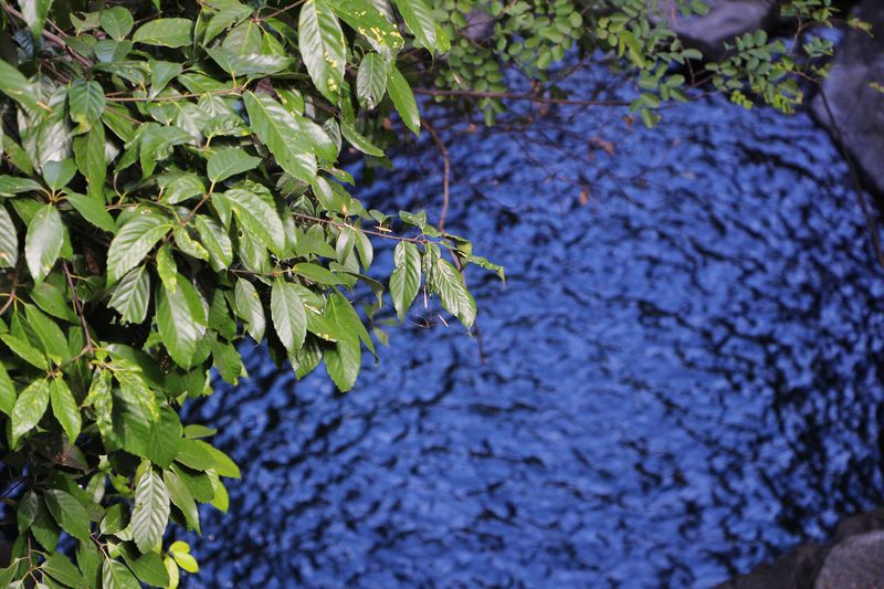 一场说走就走暑假旅行,一场说走就走的旅行来了