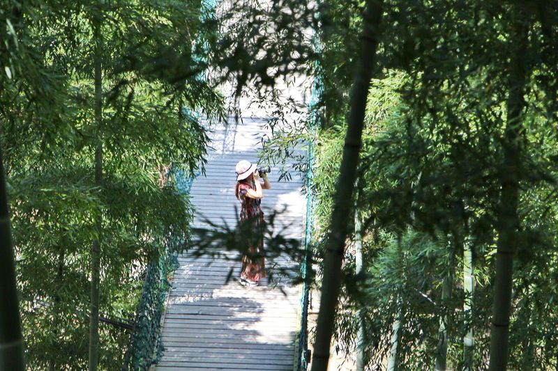 一场说走就走的夏日旅游,一场说走就走的山水旅游