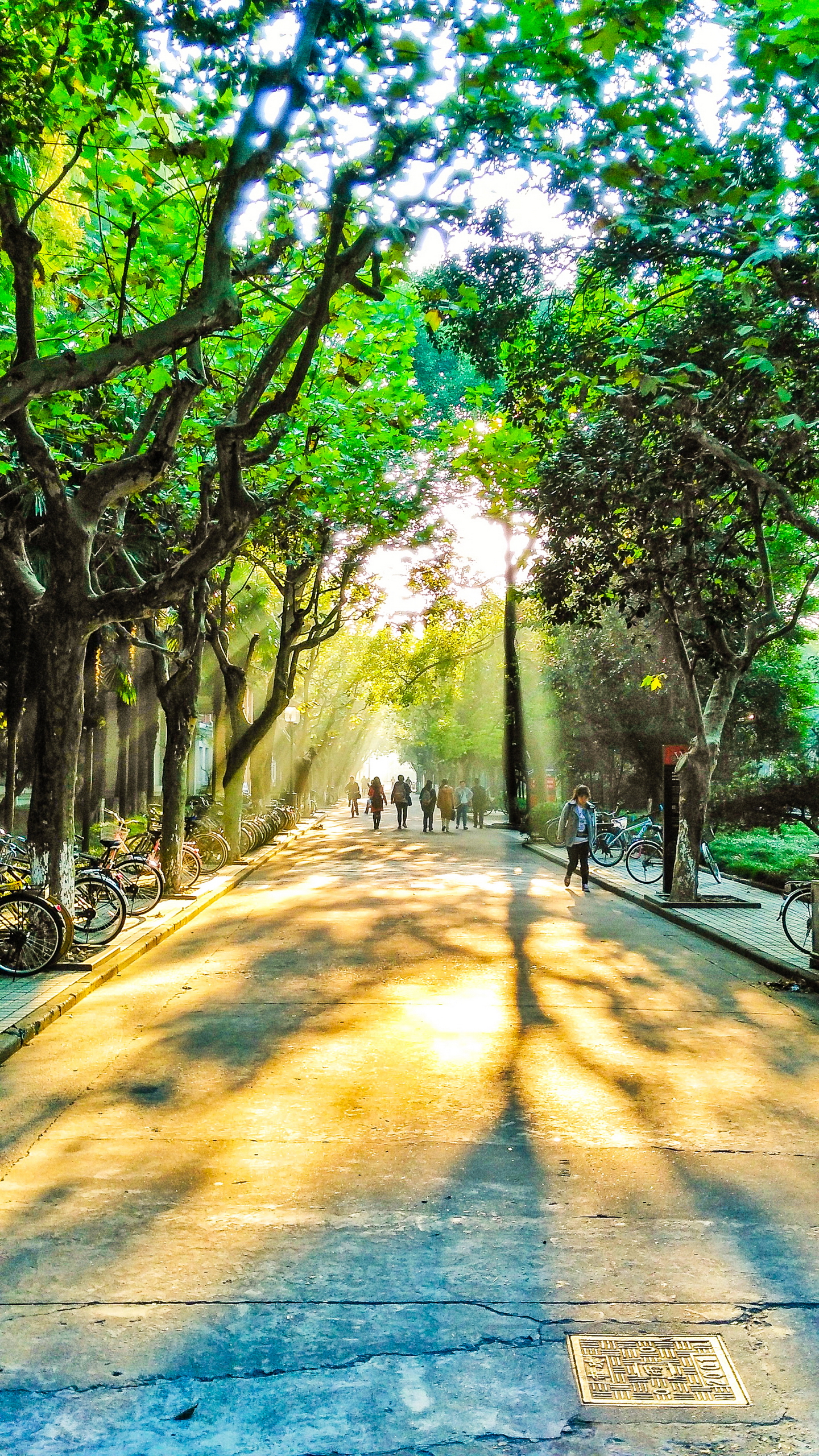 mate9拍照多少像素,mate9拍照技巧教程