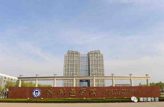 滨医潍医哪个强,潍医附院山东省内排行