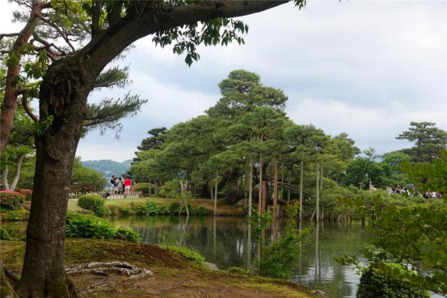 美食，美酒与美景-日本中北部升龙道深度游攻略（二）