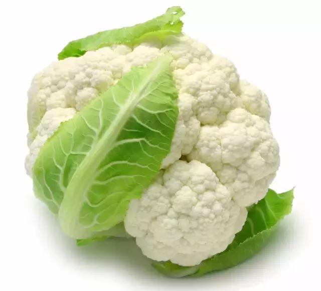 自家阳台上种的无公害绿叶菜,绿色蔬菜的种植方式是什么