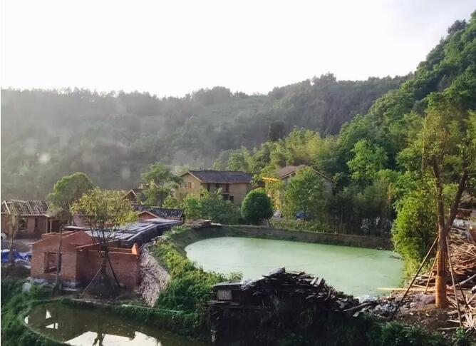 一对夫妻，在《阿凡达》的取景地，改造老宅，收获了完美的人生