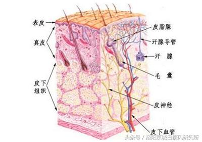 白癜风的真相完整版,白癜风治好的真人真事