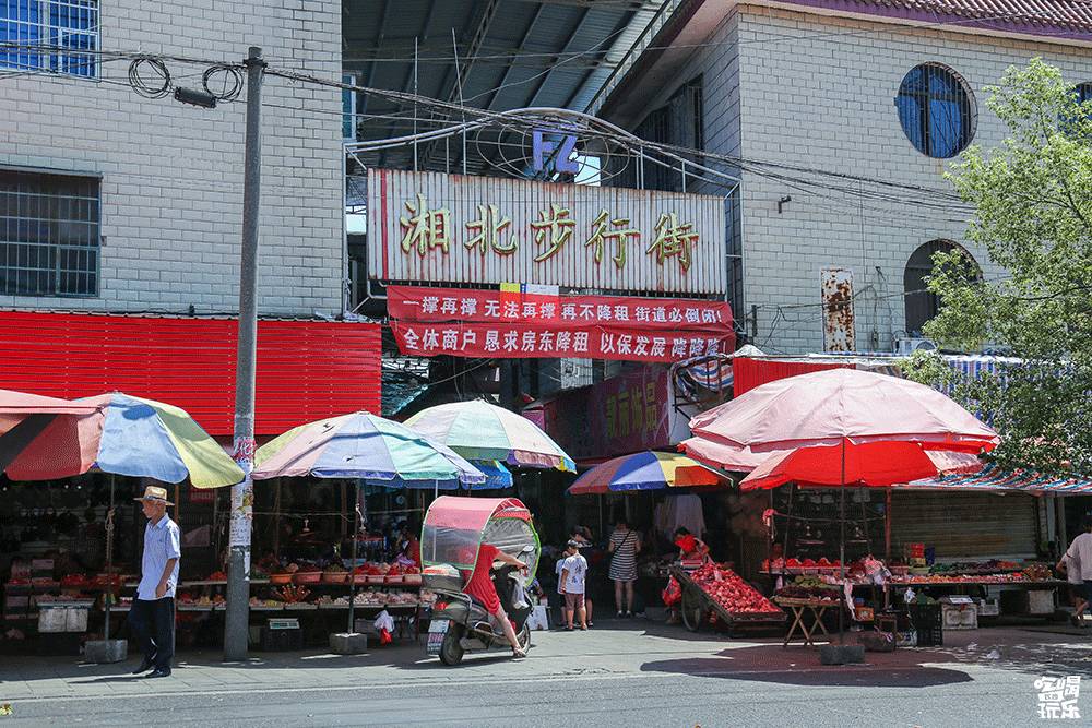 对不起我要离开了的古文,对不起我要离开了文章