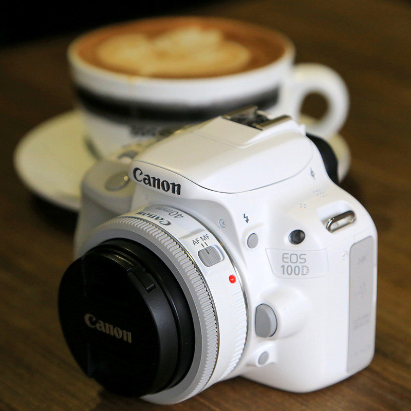 适合新手入门性价比高的单反相机,新手买单反相机推荐入门选哪款