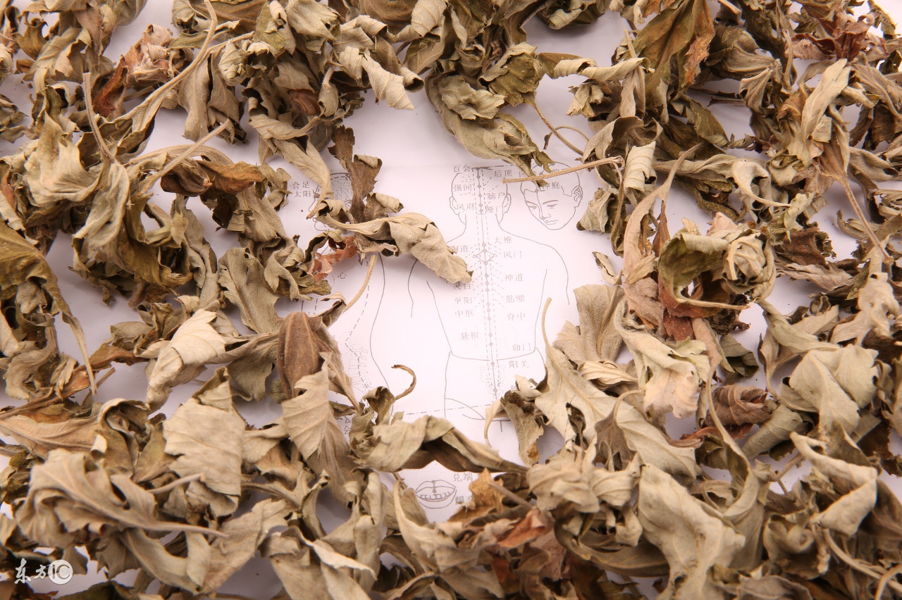 艾叶泡澡的功效与作用禁忌,艾叶桑叶泡脚的功效与作用及禁忌