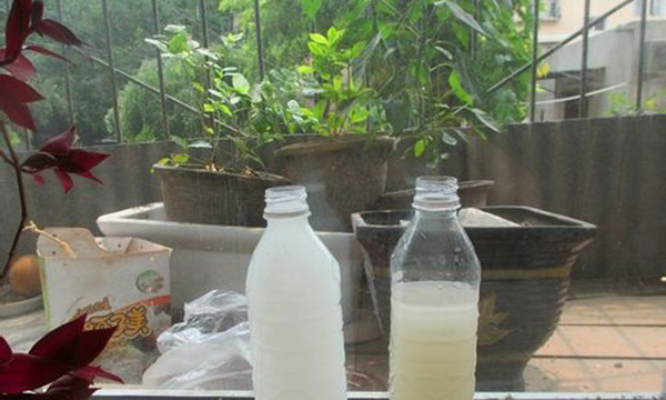 什么东西来调配浇花可以灭虫子,养花有小黑虫怎么消灭最彻底