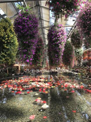 美食，美酒与美景-日本中北部升龙道深度游攻略（二）