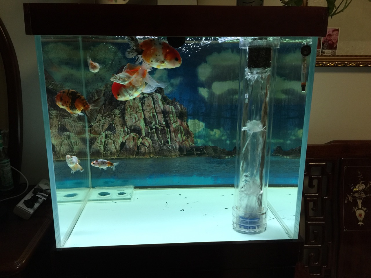 鱼缸diy用什么石头,鱼缸diy制作30元