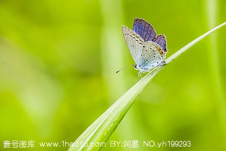 学摄影要懂p图吗,学摄影镜头选择