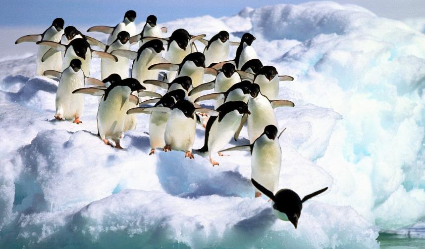 企鹅号快速运营方法,企鹅号如何吸粉增加流量