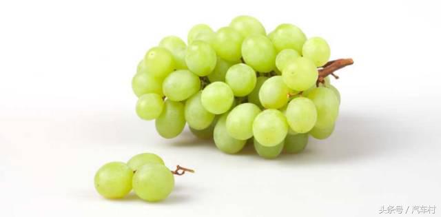 爱车被动物入侵怎么办,爱车被狗咬坏怎么办