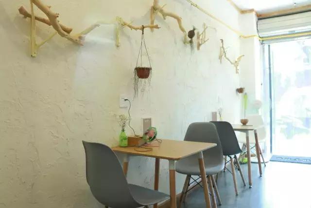 成都四中美食,成都四中视频