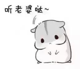 当女朋友不听话时被男朋友打,女朋友不听话应该拿什么打