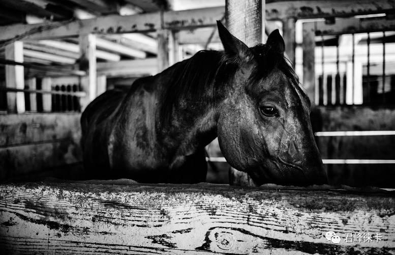 为何人文摄影大师都用35毫米镜头,为什么说35mm是人文镜头