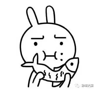 含有酒精的护肤品会马上挥发掉吗,护肤品含有酒精会怎样