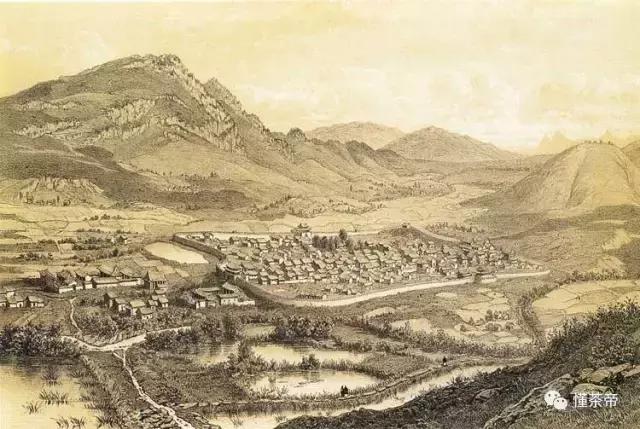 普洱茶到底是什么,不是所有的普洱茶都叫普洱茶