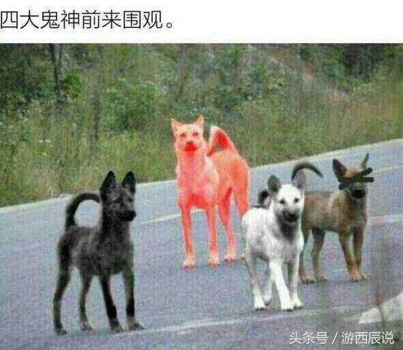 2020年dnf5大鬼剑士排名,dnf四鬼剑玩家比例