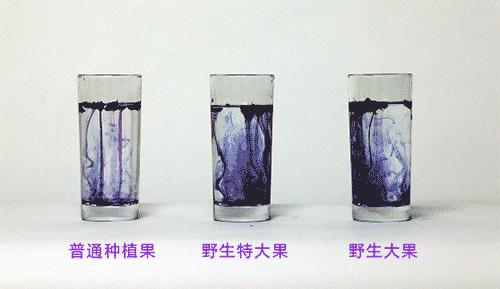 90后女生回到家乡创业,90后姑娘只身创业打拼