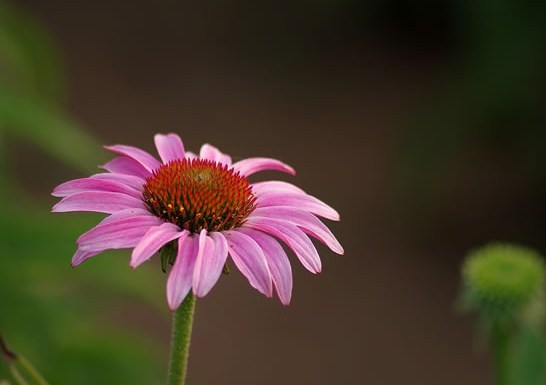 有个性的早安说说句句简短走心,早安语录励志点赞高的说说带图片