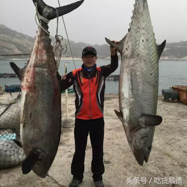 深海海钓餐厅,深海轩海钓主题餐厅