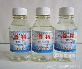 被蜜蜂蛰了怎么处理效果最好,眼睛被蜜蜂蛰了怎么处理消肿最快