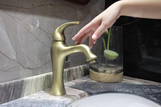 安华卫浴特色,安华卫浴是十大名牌吗